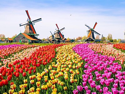 Květinový park Keukenhof s návštěvou Amsterdamu